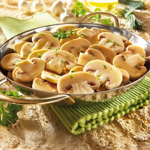 Abbildung Champignons
